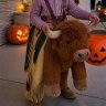 Halloween Bull Costume