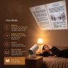 Book Lover Gifts